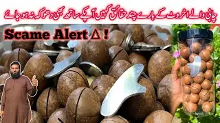 Do not buy macadamia nuts without watching video | Scame Alert | chabi wale akhrot | Man salwa food