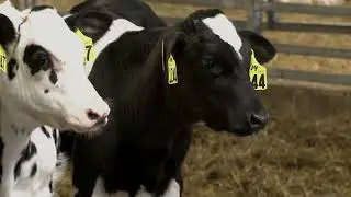 History of Agriculture in Jefferson County | WPBS Weekly: Inside the Stories