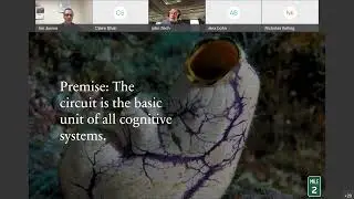 Understanding Cognitive Work