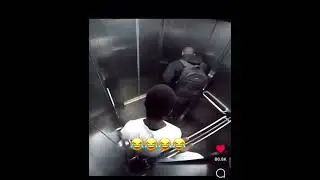 An ordinary day in the elevator #funny #memes #dailymemes