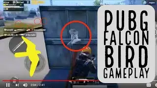 Pubg Falcon Egg BIRD Trick Gameplay (Showing the place)