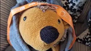 Mr Snuffles Storytime: Beetle vs Spider 