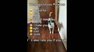 Hey guy