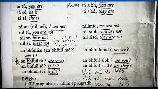 Progress in Irish- Lesson 4