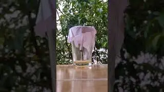 Easy Science EXPERIMENT |  smoke fountain | DIY | CREATIVE MAN | #shorts