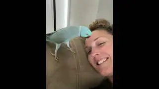 Рядом с попугаем не получится дремать..