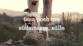 Merike Susi - Armastuse aastaaeg
