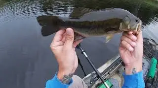 Pike fishing the Androscoggin River , Turner Maine