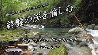 木曽川漁協に手抜きなし！？  難しくも楽しい終盤のイワナ釣り～ (^^♪ 【 フライフィッシング 渓流釣り 長野県 木曽川 】