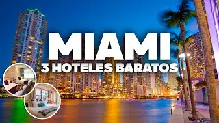 3 GREAT AND CHEAP HOTELS IN MIAMI! Well located and close to everything!