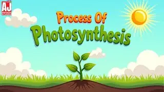 How Plants Make Food | Process of Photosynthesis for Kids | AJ Studio Kids #nurseryrhymes #cartoon