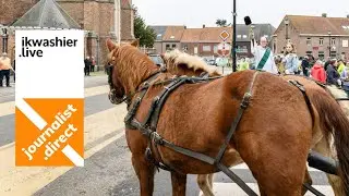 Sint-Hubertusfeest Beselare met paarden- en hondenzegening - journalist.direct met Andy Flament