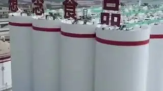 Largest wheat flour milling project is coming soon in China