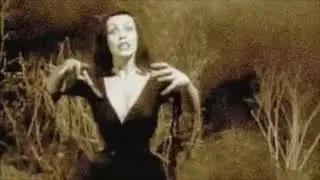 Shawn Mars &ldquo;Damn The Daylight&rdquo;