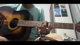 Day 2 - Guitar Learning | Diatonic Harmony: Naming Notes on Fretboard