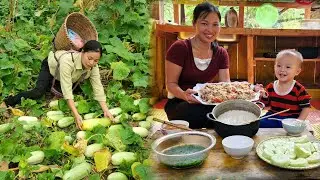 Harvesting melons in the field to sell at the market - Cooking a nutritious dinner for my little son