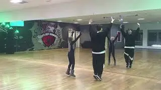Dance Tutorial Mach die Robbe