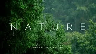 Energy Insights: Nature #safety #toolbox #energy #business #consulting