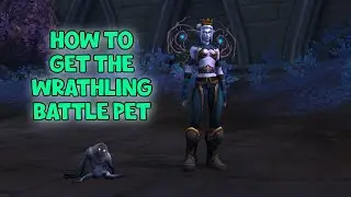 WoW Shadowlands - How To Get The Wrathling Battle Pet | Revendreth