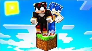 ONE BLOCK SKYBLOCK with SONIC and SHADOW in Minecraft!