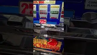 wild cherry slot machine info