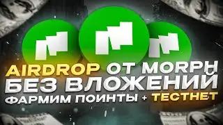 Получаем Подтвержденный Airdrop От Morph | Гайд на Активность Без вложений |Testnet|Galxe|Bitget!