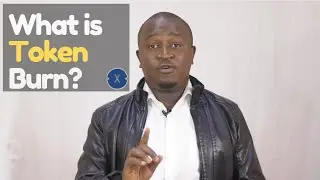 Understanding XDC Token Burn | BlockDegree