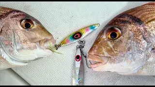 סלו ג'יג מפתיע ומהנה בסירה 🐟🎣 Slow jigging fishing on a boat  HE/EN Subs