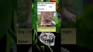First night troll cake🤣| #dailymemes #viral