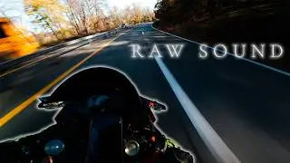 Ninja ZX6R 4K POV | Pure Exhaust Sound Through Autumn Roads