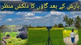 Village view after rain/ life in village/ midhranjha sargodha/ Fasishahphotography