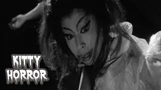 Bakeneko: A Vengeful Spirit - All The Haunts Be Ours Vol 2 - Severin Films - Movie / Blu-ray Review