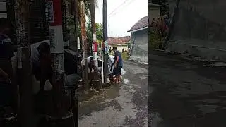 pembasmian sarang nyamuk