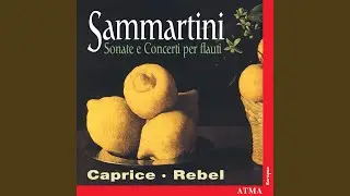 Sonate en trio pour deux fl&ucirc;tes &agrave; bec et basse continue en r&eacute; mineur, Op. 2 No. 6: III. Largo
