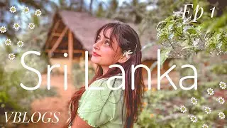 Srilanka Vlog 🌴 | EP 1- Sigiriya, Lion’s Rock | VBLOGS | Vitasta Bhat
