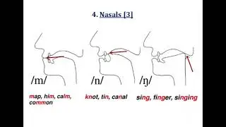 Phonetics -- Degree 1st year ENGLISH PRAXIS-1