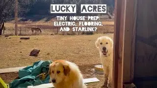 Подготовка крошечного дома: полы, автономное электричество и Starlink? (Lucky Acres, день 26)
