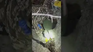 Python rescue #mpforestdepartment #wildliferescue #rescuepankajmishra #snake