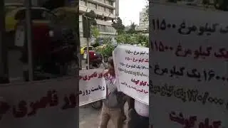 Iran -Tehran The formation of the protest movement of the owners of the poultry