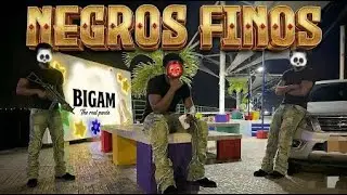 NEGROS FINOS - BIGAM (VIDEO OFICIAL) 