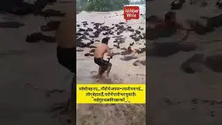 Punjab Flood News: Gurdaspur Border Area Floods | North India Floods Update | Punjab W...