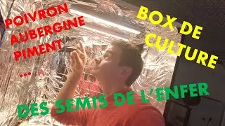 BOX DE CULTURE : Une boite &agrave; semis de comp&eacute;tition pour un potager de l'enfer