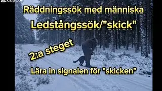 R&auml;ddningss&ouml;k/Persons&ouml;k (