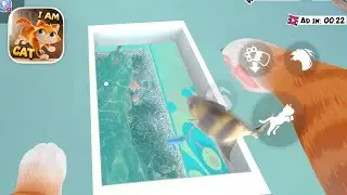 I Am Cat Care And Order | Find The Fish And Return It To The Aquarium Complete | I Am Cat 