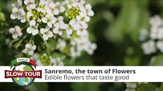 Sanremo, the town of flowers | Italia Slow Tour