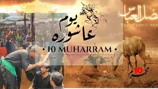 10 Muharram 2023 1445H | Yome Ashura | Talwar ka matam | Nishtar park juloos  #muharram2023