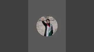 بدأت قناة 