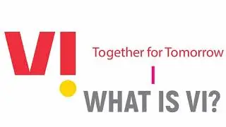 What Is VI?