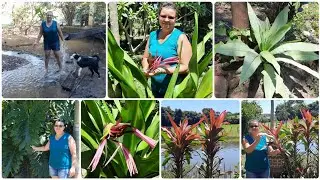 Domingo Muito Quente em Goi&aacute;s🌞🔥Tomei Banho na Bica D'agua❤️Planta Abriu a Flor🪻