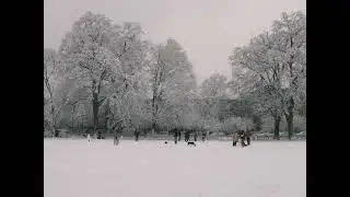 finally a good, frozen, cold winter.